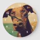 Recherche de doberman horloges Animal