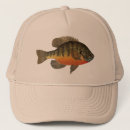 Recherche de poissons du soleil Pour lui