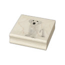 Recherche de golden retriever tampons encreurs Animal