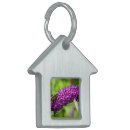 Recherche de insecte animaux articles Fleurs