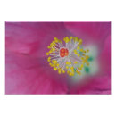 Recherche de estomac posters Détail