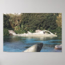 Recherche de submarine posters Sea