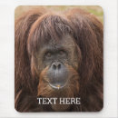 Recherche de singe chimpanzé tapis souris Faune