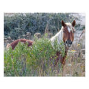 Recherche de banques posters Animal