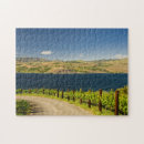 Recherche de vignoble puzzles Personne