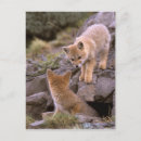 Recherche de habitat cartes postales Parc national