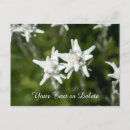 Recherche de edelweiss vœux cartes Toute personne