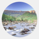 Recherche de gallo autocollants Image couleur