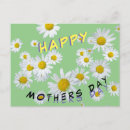 Recherche de marguerites blanches cartes postales Pour elle