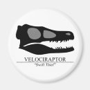 Recherche de paléontologie magnets Crâne