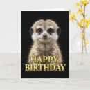 Recherche de suricate vœux cartes Animal