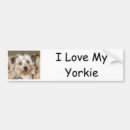 Recherche de terrier yorkshire voiture autocollants Chien