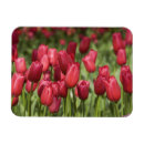 Recherche de lisse magnets Voyage