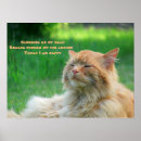 Recherche de pet photography posters Cats