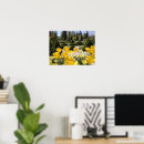 Recherche de pottok Fleurs de tulipe jaune