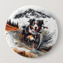 Recherche de activités badges Animal