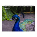 Recherche de oiseau calendriers Pélican