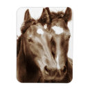 Recherche de de cheval magnets Animaux