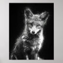 Recherche de dessin renard posters Faune