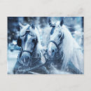 Recherche de le cheval blanc cartes postales Hiver