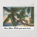 Recherche de cocotier cartes postales Plage
