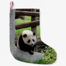 Recherche de pandas chaussette de noël Adorable