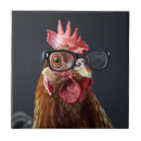 Recherche de poulets carreaux Toute personne