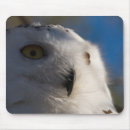 Recherche de hibou neigeux tapis souris Animaux