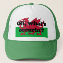 Recherche de le pays de galles accessoires Dragon