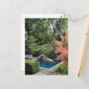 Recherche de éléphants drôles cartes postales Faune