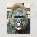 Recherche de gorille sauvage cartes postales Zoo