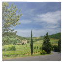 Recherche de vignoble carreaux Toscane