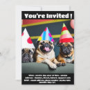 Recherche de chien carlin invitations Drôle