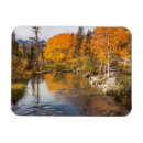 Recherche de personne orientale magnets Californie