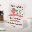 Recherche de one in a melon 1er anniversaire