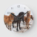 Recherche de colt horloges Ferme