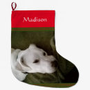 Recherche de labrador chaussette de noël Chiot