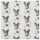 Recherche de bouledogue Chiot
