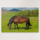 Recherche de cheval puzzles Bétail