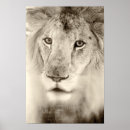 Recherche de lion noir blanc art Faune