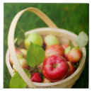 Recherche de panier carreaux Fruit