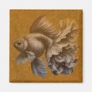 Recherche de poisson rouge magnets Carpe