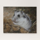 Recherche de hamster puzzles Souris