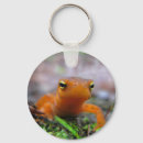 Recherche de salamandre porteclés Animal