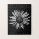 Recherche de fleurs blanches puzzles Toute personne