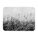 Recherche de dunes magnets Landscape