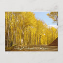 Recherche de arbres tremble cartes postales Coloré