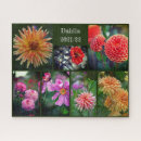 Recherche de dahlia puzzles Nature