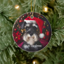 Recherche de allemand père ornements Chiot