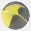 Recherche de feuille de ginkgo autocollants Pour tous